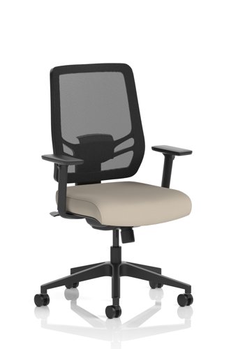 Ergo Twist Mesh Back Ergonomic Task Operator Office Chair With Height Adjustable Arms Bespoke Colour Seat Quest Salt