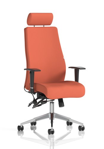 Onyx Ergo Posture Chair With Height Adjustable Arms With Headrest Bespoke Colour Back And Seat Quest Crab