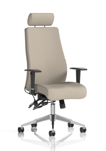 Onyx Ergo Posture Chair With Height Adjustable Arms With Headrest Bespoke Colour Back And Seat Quest Salt