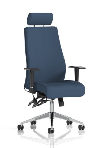 Onyx Ergo Posture Chair With Height Adjustable Arms With Headrest Bespoke Colour Back And Seat Quest Whelk