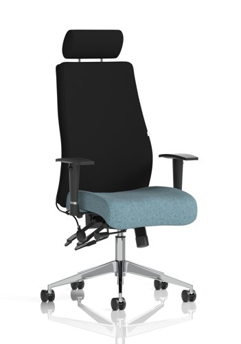 Onyx Ergo Posture Chair With Height Adjustable Arms With Headrest Bespoke Colour Seat Rivet Quench