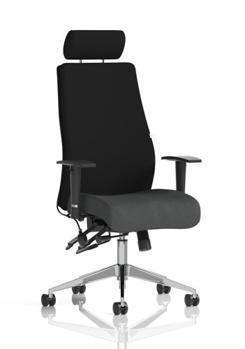 Onyx Ergo Posture Chair With Height Adjustable Arms With Headrest Bespoke Colour Seat Quest Mussel