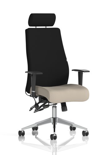 Onyx Ergo Posture Chair With Height Adjustable Arms With Headrest Bespoke Colour Seat Quest Salt