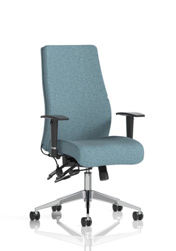 Onyx Ergo Posture Chair With Height Adjustable Arms Without Headrest Bespoke Colour Back And Seat Rivet Quench