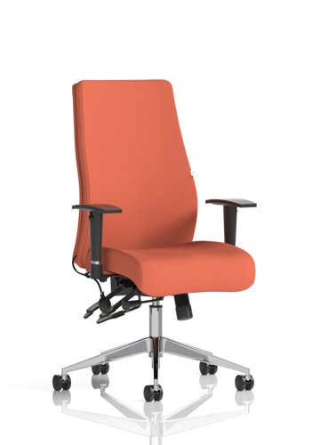 Onyx Ergo Posture Chair With Height Adjustable Arms Without Headrest Bespoke Colour Back And Seat Quest Crab