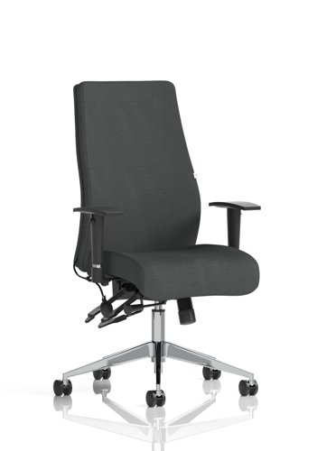Onyx Ergo Posture Chair With Height Adjustable Arms Without Headrest Bespoke Colour Back And Seat Quest Mussel