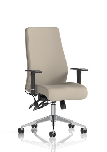 Onyx Ergo Posture Chair With Height Adjustable Arms Without Headrest Bespoke Colour Back And Seat Quest Salt