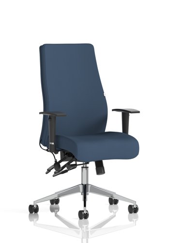 Onyx Ergo Posture Chair With Height Adjustable Arms Without Headrest Bespoke Colour Back And Seat Quest Whelk