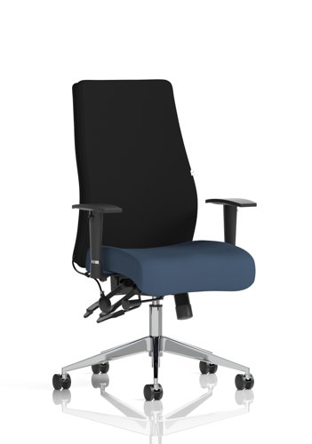 Onyx Ergo Posture Chair With Height Adjustable Arms Without Headrest Bespoke Colour Seat Quest Whelk