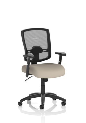 Portland Task Operator Chair Mesh Back With Height Adjustable Arms Bespoke Colour Seat Quest Salt