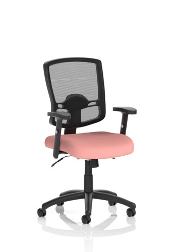 Portland II Mesh Back With Height Adjustable Arms Bespoke Colour Seat Quest Shrimp