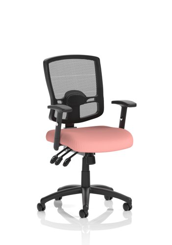 Portland III Mesh Back With Height Adjustable Arms Bespoke Colour Seat Quest Shrimp
