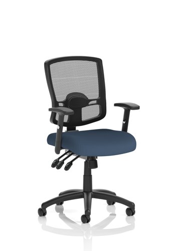 Portland III Mesh Back With Height Adjustable Arms Bespoke Colour Seat Quest Whelk