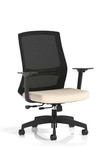 Ventra Mesh Back Task Operator Chair With Height Adjustable Arms Bespoke Colour Seat Quest Salt