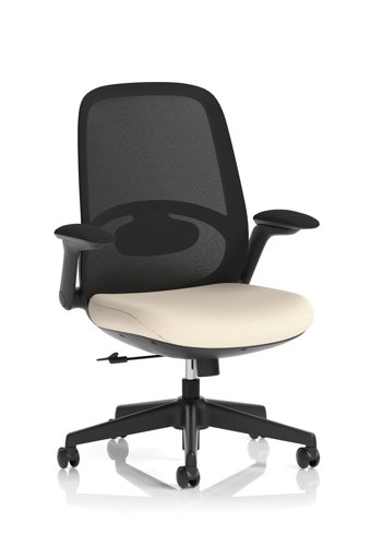 Crew 2 Task Operator Mesh Back Chair With Folding Arms Bespoke Colour Seat Quest Salt