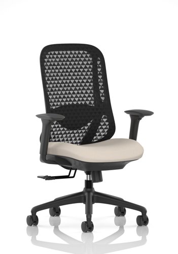 Prism Mesh Back Chair With Height Adjustable Arms Bespoke Colour Seat Quest Salt