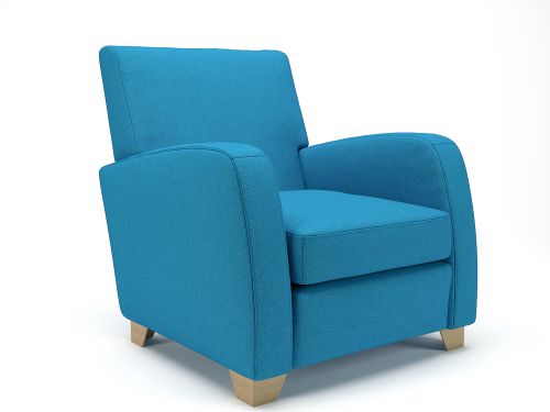 Wynne 81cm Wide Armchair Everlasting Fabric Light Wood Feet