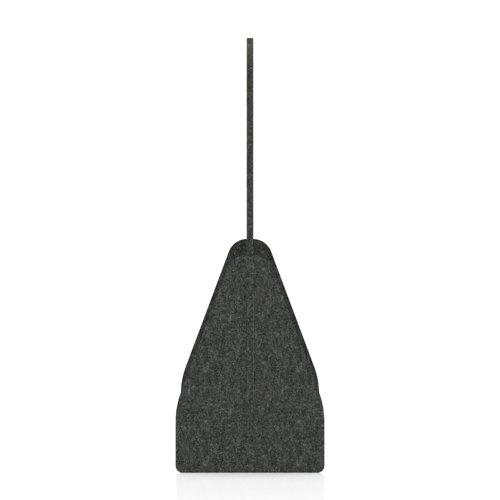SCH00555