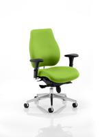 Chiro Plus Bespoke Colour Back And Seat Myrrh Green