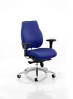 Chiro Plus Bespoke Colour Back And Seat Stevia Blue