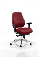 Chiro Plus Bespoke Colour Back And Seat Ginseng Chilli