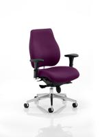 Chiro Plus Bespoke Colour Back And Seat Tansy Purple