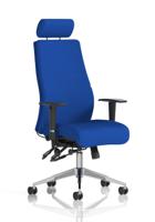 Onyx Ergo Posture Chair With Height Adjustable Arms With Headrest Bespoke Colour Back And Seat Stevia Blue
