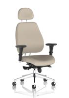 Chiro Plus With Headrest Bespoke Colour Back And Seat Quest Salt