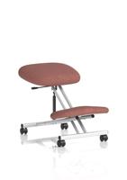Kneeling Stool Silver Frame Bespoke Colour Rivet Forge