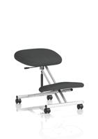 Kneeling Stool Silver Frame Bespoke Colour Quest Mussel