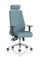 Onyx Ergo Posture Chair With Height Adjustable Arms With Headrest Bespoke Colour Back And Seat Rivet Quench