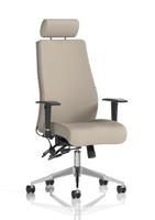 Onyx Ergo Posture Chair With Height Adjustable Arms With Headrest Bespoke Colour Back And Seat Quest Salt