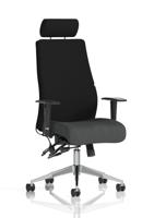 Onyx Ergo Posture Chair With Height Adjustable Arms With Headrest Bespoke Colour Seat Quest Mussel