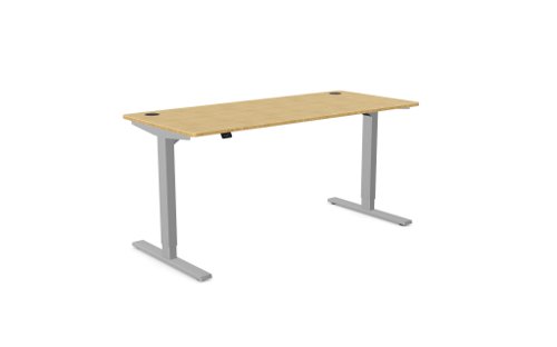 Zoom Single Height Adjust Desk 1600 x 700mm - Rectangular Bamboo top / Silver Frame