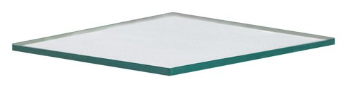 PSI Clear Single Glass Float Sheet 28 in. W X 26 in. L X 2.5 mm