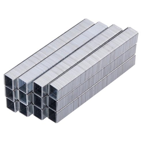 Spec Ops 1/2 in. L Heavy Duty Staples 5000 pk