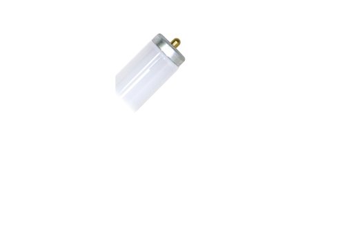 Satco 75 W T12 1.5 in. D X 96 in. L Fluorescent Bulb Neutral White Linear 3500 K 1 pk