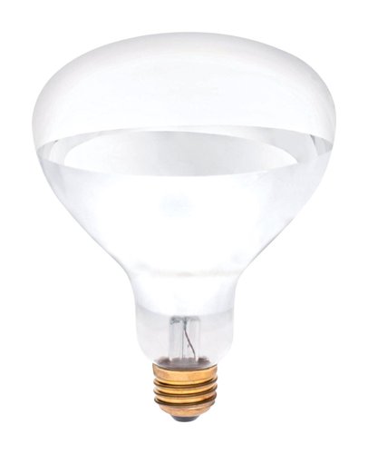Westinghouse 250 W R40 Reflector Incandescent Bulb E26 (Medium) White 1 pk