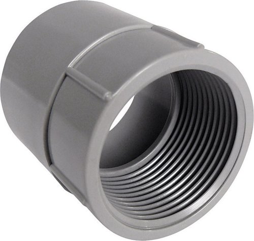 Cantex 1-1/4 in. D PVC Female Adapter For PVC 1 pk