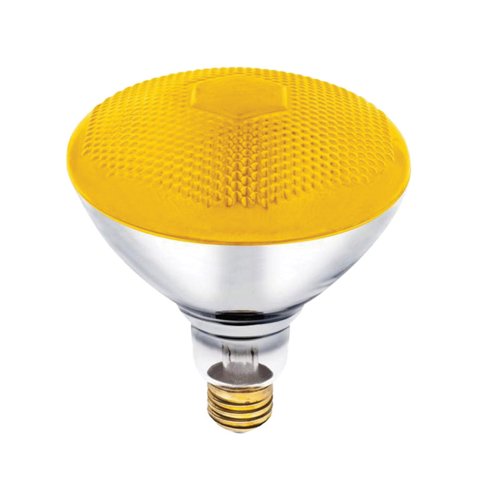 Westinghouse Bug Light 100 W E26 Floodlight Incandescent Bulb E26 (Medium) Yellow 1 pk