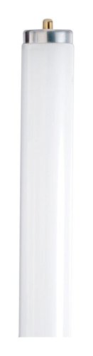 Satco 75 W T12 1.5 in. D X 96 in. L Fluorescent Bulb Daylight Linear 6500 K 1 pk