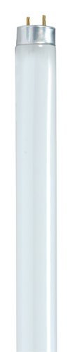 Satco 32 W T8 1 in. D X 48 in. L Fluorescent Bulb Cool White Linear 4100 K 1 pk