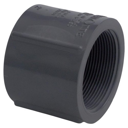 Charlotte Pipe Schedule 80 2 in. FPT X 2 in. D FPT PVC Coupling 1 pk