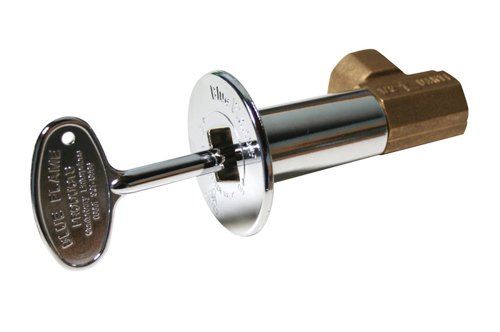 Canterbury 0.5 in. Polished Chrome Angled Gas Valve