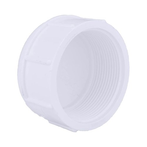 Charlotte Pipe Schedule 40 2 in. FPT X 2 in. D FPT PVC Cap 1 pk