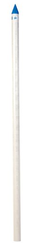 Campbell Brady PVC White 1.5 in. Pointed Well Screen