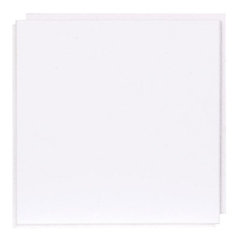 USG Custom 12 in. L X 12 in. W 0.5 in. Staple Ceiling Tile 1 pk