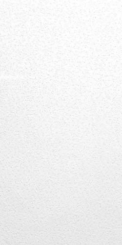 USG Ceilings Tabaret Non-Directional 48 in. L X 24 in. W 0.63 in. Square Edge Ceiling Panel 1 pk