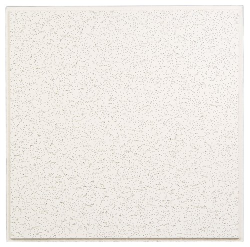USG Fifth Avenue 24 in. L X 24 in. W 0.625 in. Shadow Line Tapered Ceiling Tile 1 pk
