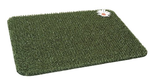 GrassWorx Clean Machine 18 in. W X 24 in. L Green Daisy Astroturf Door Mat